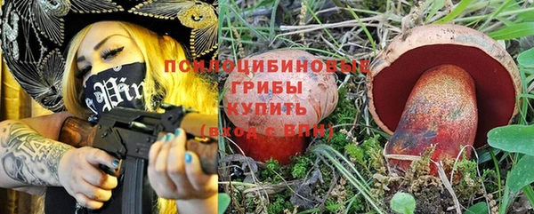 прущий лед Няндома