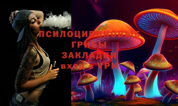 МДПВ Осинники