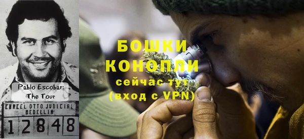 МДПВ Осинники