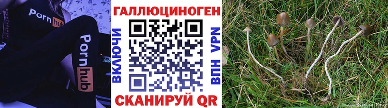 ОМГ ОМГ маркетплейс  Лодейное Поле  Галлюциногенные грибы MAGIC MUSHROOMS 