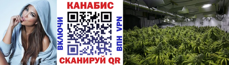 цена   Лодейное Поле  Шишки марихуана OG Kush 